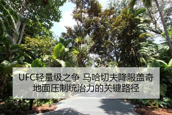 UFC轻量级之争 马哈切夫降服盖奇 地面压制统治力的关键路径
